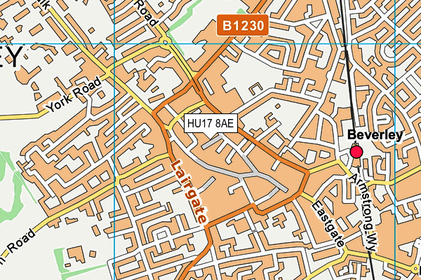 HU17 8AE map - OS VectorMap District (Ordnance Survey)