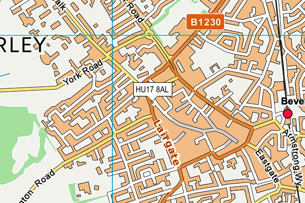 HU17 8AL map - OS VectorMap District (Ordnance Survey)