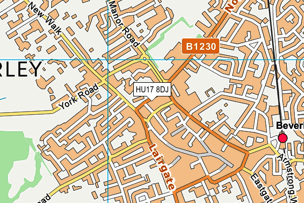 HU17 8DJ map - OS VectorMap District (Ordnance Survey)