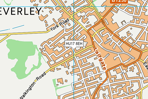 HU17 8EH map - OS VectorMap District (Ordnance Survey)