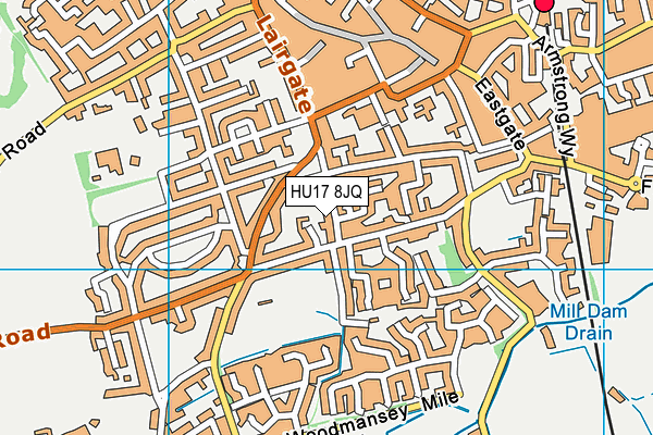 HU17 8JQ map - OS VectorMap District (Ordnance Survey)