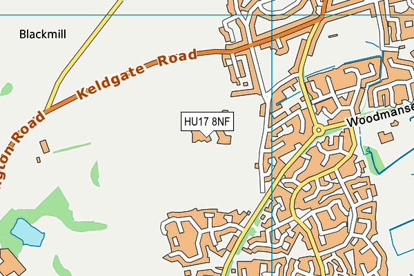 Beverley Grammar School map (HU17 8NF) - OS VectorMap District (Ordnance Survey)