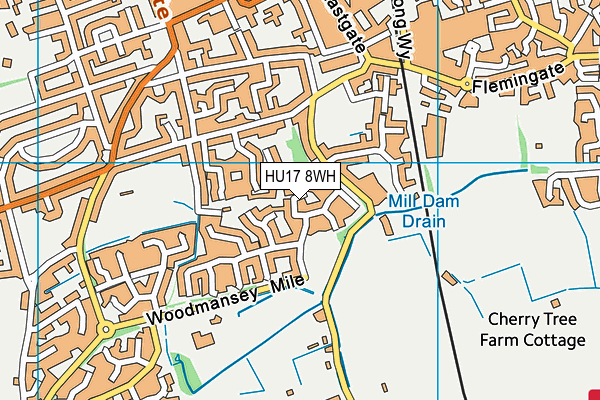HU17 8WH map - OS VectorMap District (Ordnance Survey)