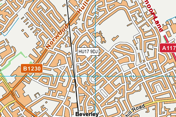 HU17 9DJ map - OS VectorMap District (Ordnance Survey)
