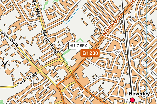 Beverley High School map (HU17 9EX) - OS VectorMap District (Ordnance Survey)