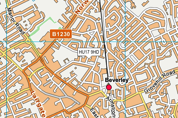 HU17 9HD map - OS VectorMap District (Ordnance Survey)