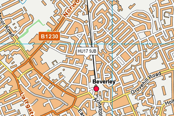 HU17 9JB map - OS VectorMap District (Ordnance Survey)