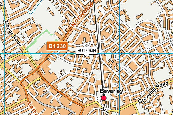 HU17 9JN map - OS VectorMap District (Ordnance Survey)