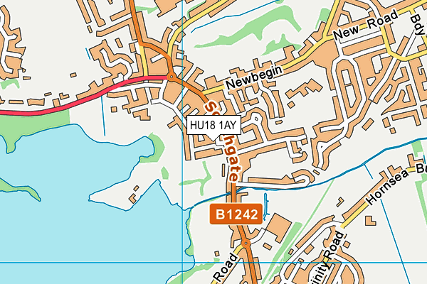 HU18 1AY map - OS VectorMap District (Ordnance Survey)