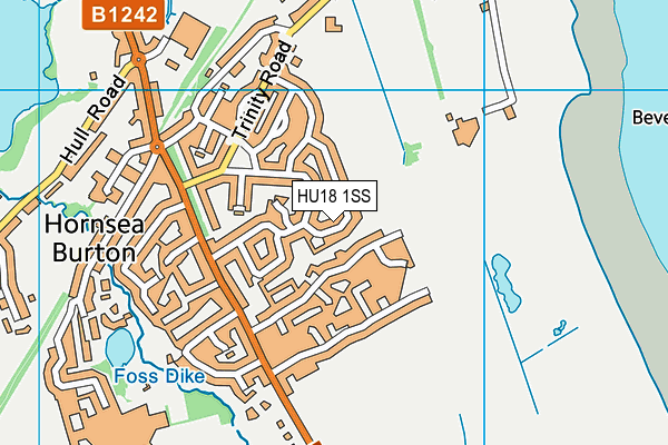 HU18 1SS map - OS VectorMap District (Ordnance Survey)