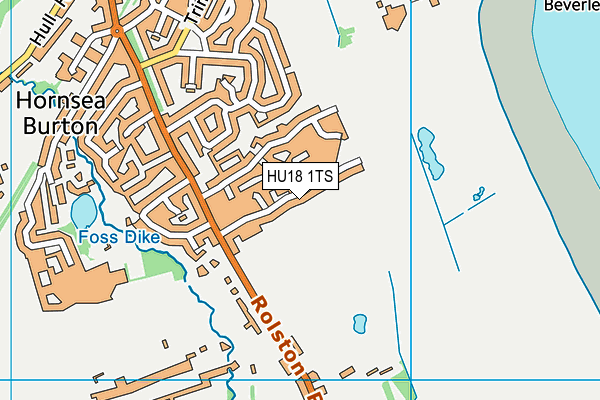 HU18 1TS map - OS VectorMap District (Ordnance Survey)