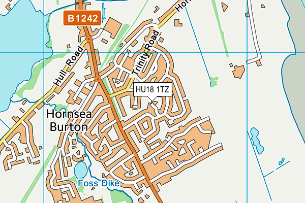 HU18 1TZ map - OS VectorMap District (Ordnance Survey)