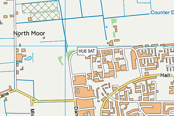 Dane Park Playing Fields map (HU6 9AT) - OS VectorMap District (Ordnance Survey)
