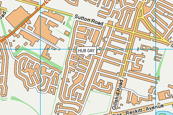 HU8 0AY map - OS VectorMap District (Ordnance Survey)