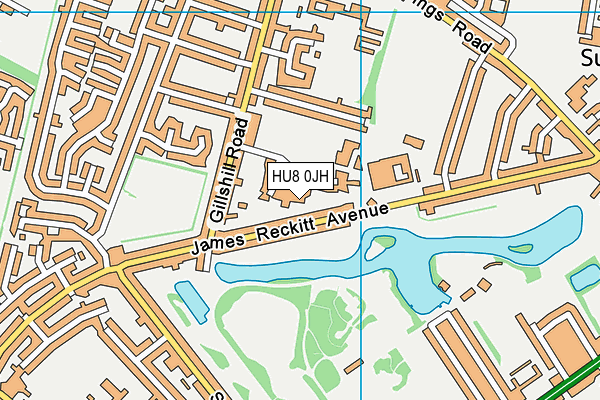 HU8 0JH map - OS VectorMap District (Ordnance Survey)
