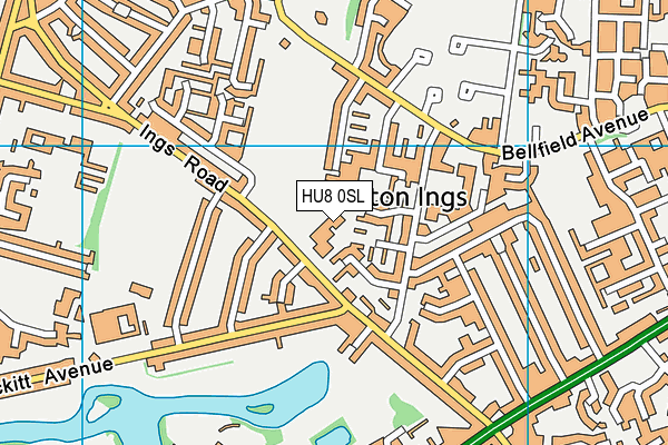 Ings Primary School map (HU8 0SL) - OS VectorMap District (Ordnance Survey)