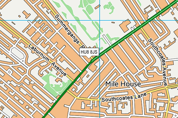 HU8 8JS map - OS VectorMap District (Ordnance Survey)