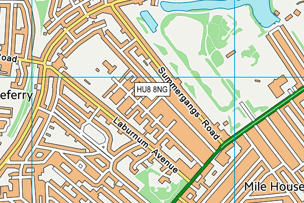 HU8 8NG map - OS VectorMap District (Ordnance Survey)