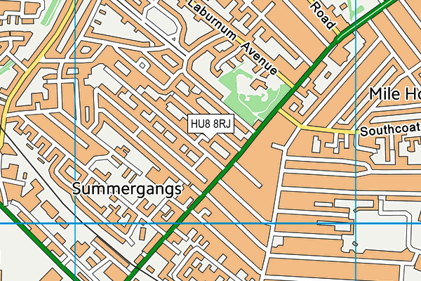 HU8 8RJ map - OS VectorMap District (Ordnance Survey)