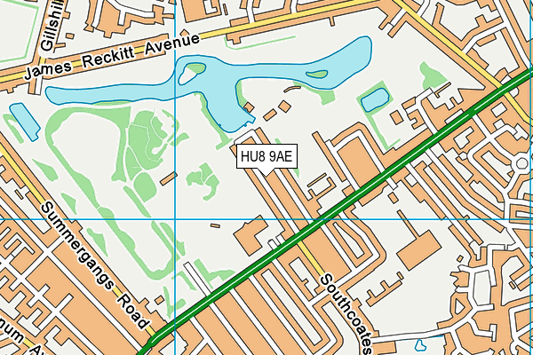 HU8 9AE map - OS VectorMap District (Ordnance Survey)