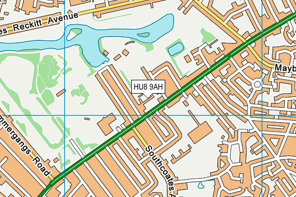 HU8 9AH map - OS VectorMap District (Ordnance Survey)