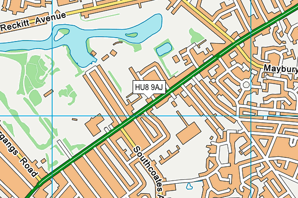 HU8 9AJ map - OS VectorMap District (Ordnance Survey)
