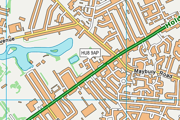 HU8 9AP map - OS VectorMap District (Ordnance Survey)