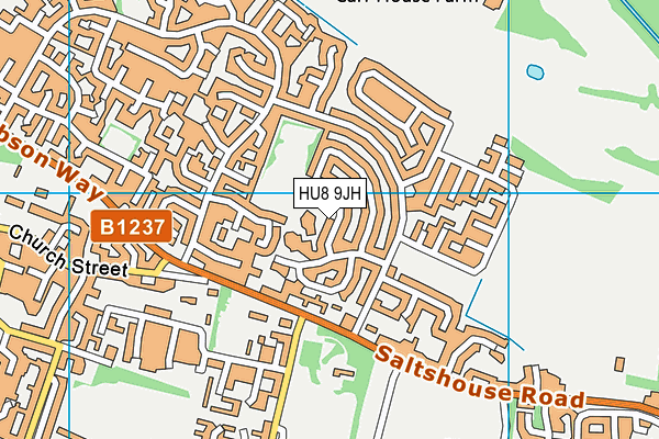 Spring Cottage Primary School map (HU8 9JH) - OS VectorMap District (Ordnance Survey)