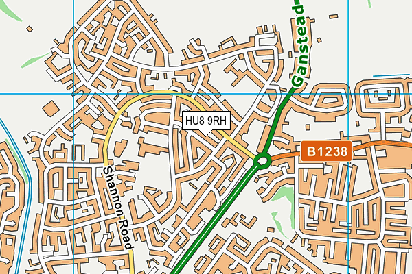 HU8 9RH map - OS VectorMap District (Ordnance Survey)