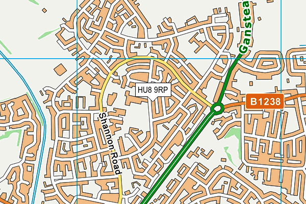 HU8 9RP map - OS VectorMap District (Ordnance Survey)