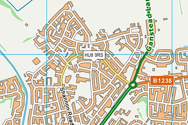 HU8 9RS map - OS VectorMap District (Ordnance Survey)