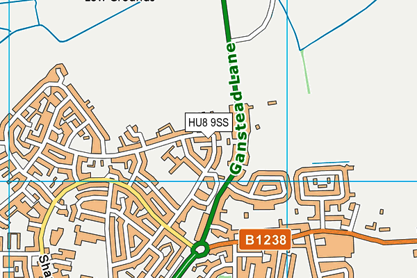 HU8 9SS map - OS VectorMap District (Ordnance Survey)