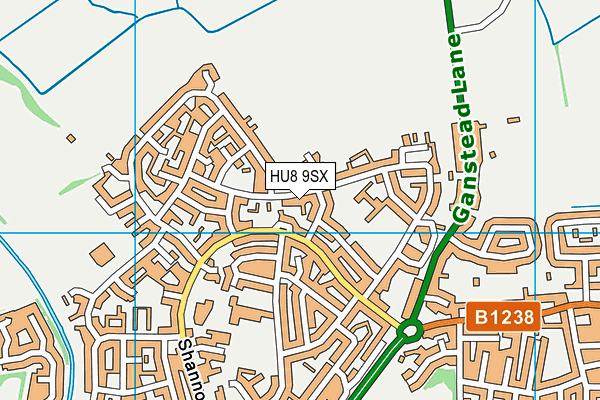 HU8 9SX map - OS VectorMap District (Ordnance Survey)