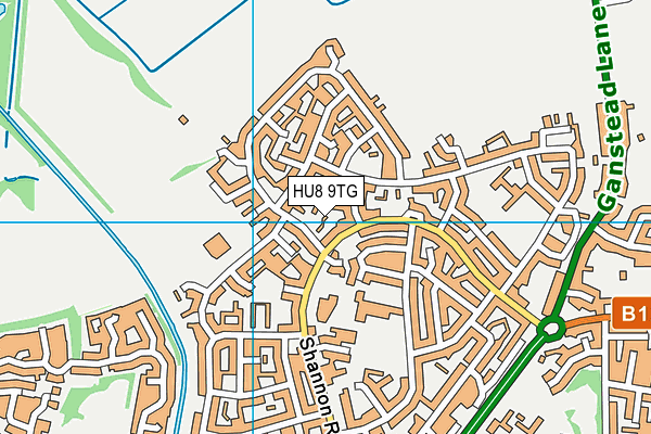 HU8 9TG map - OS VectorMap District (Ordnance Survey)