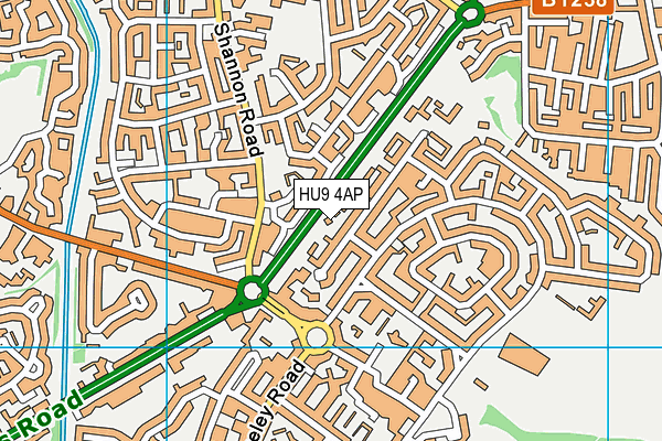 HU9 4AP map - OS VectorMap District (Ordnance Survey)