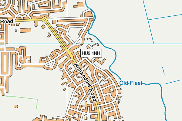 Oldfleet Primary School map (HU9 4NH) - OS VectorMap District (Ordnance Survey)