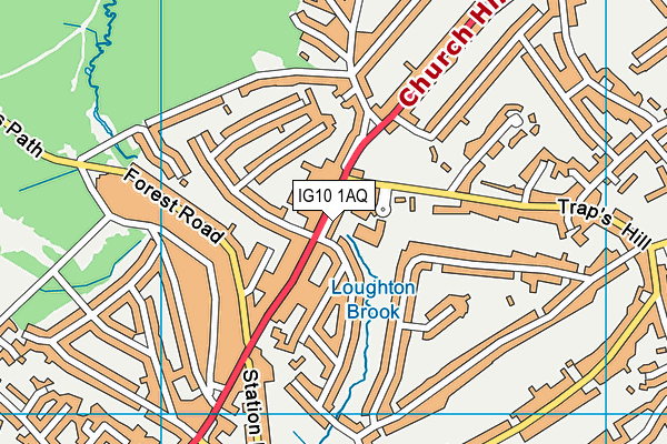IG10 1AQ map - OS VectorMap District (Ordnance Survey)