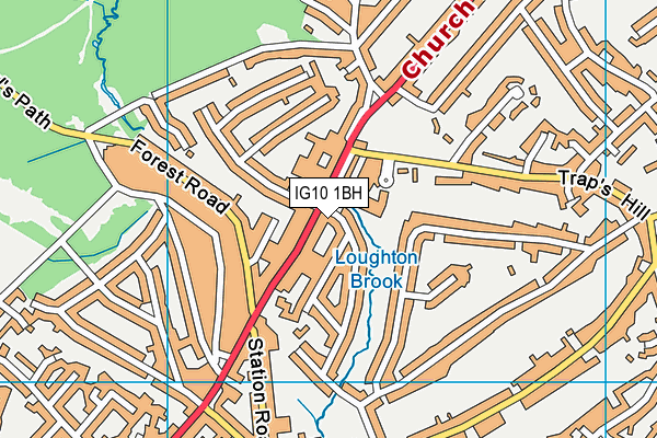 IG10 1BH map - OS VectorMap District (Ordnance Survey)