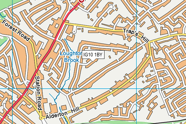 IG10 1BY map - OS VectorMap District (Ordnance Survey)