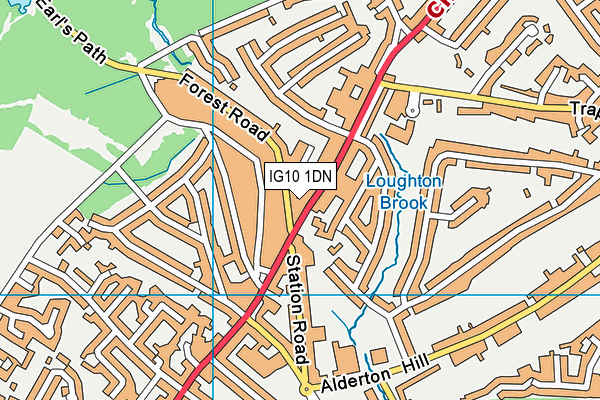 IG10 1DN map - OS VectorMap District (Ordnance Survey)