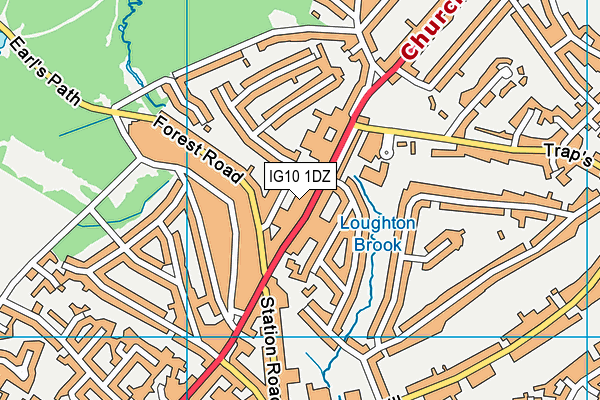 IG10 1DZ map - OS VectorMap District (Ordnance Survey)