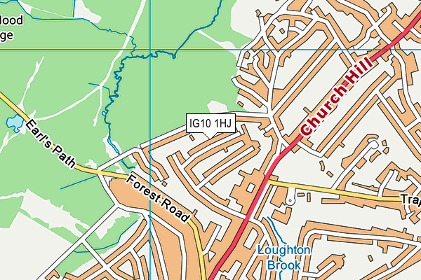 IG10 1HJ map - OS VectorMap District (Ordnance Survey)