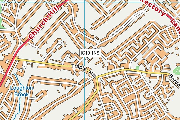 IG10 1NS map - OS VectorMap District (Ordnance Survey)