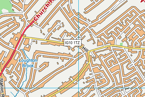 IG10 1TZ map - OS VectorMap District (Ordnance Survey)