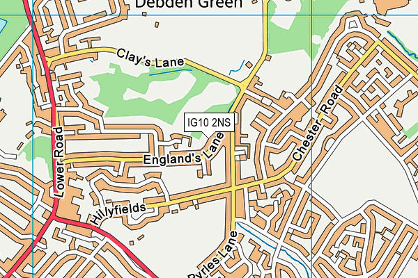 IG10 2NS map - OS VectorMap District (Ordnance Survey)