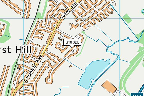 IG10 3DL map - OS VectorMap District (Ordnance Survey)