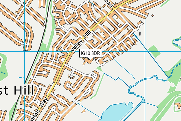 White Bridge Primary School map (IG10 3DR) - OS VectorMap District (Ordnance Survey)