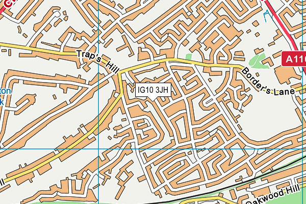 IG10 3JH map - OS VectorMap District (Ordnance Survey)