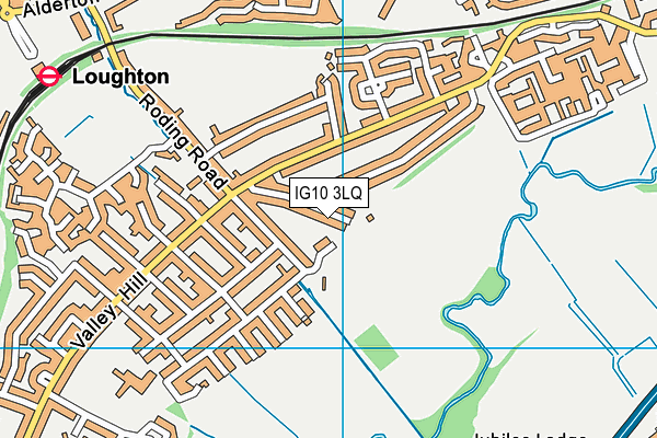 IG10 3LQ map - OS VectorMap District (Ordnance Survey)