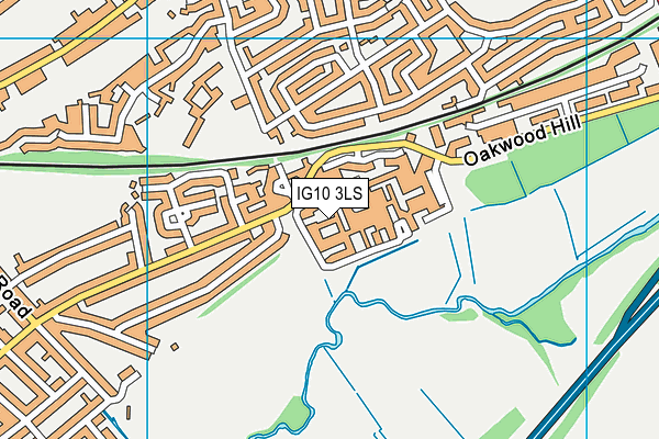 IG10 3LS map - OS VectorMap District (Ordnance Survey)